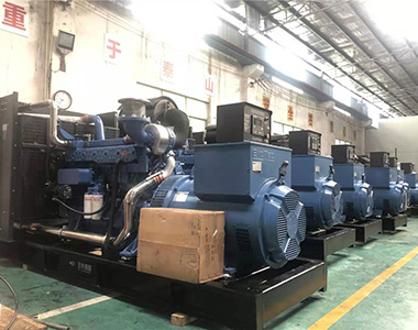 国内某养殖项目指定批量采用PA视讯官方集团500KW/400V陆用发电机