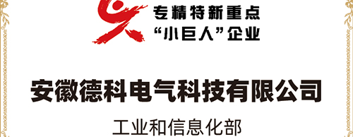 「小巨人 大分量」| PA视讯官方集团电气荣获“国家专精特新重点小巨人企业”称号！