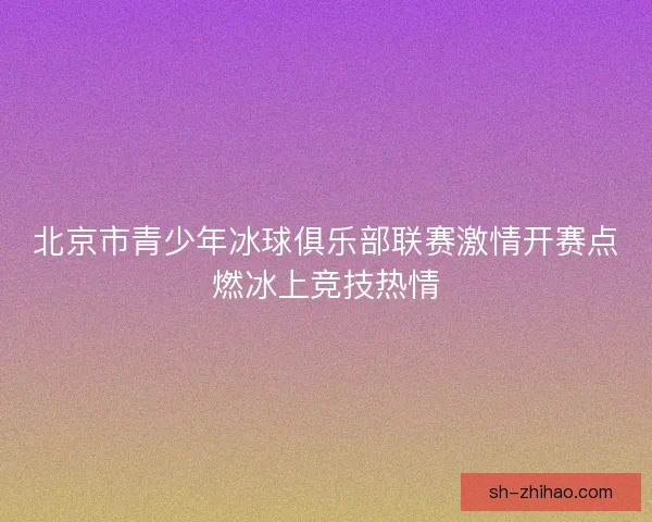 北京市青少年冰球俱乐部联赛激情开赛点燃冰上竞技热情