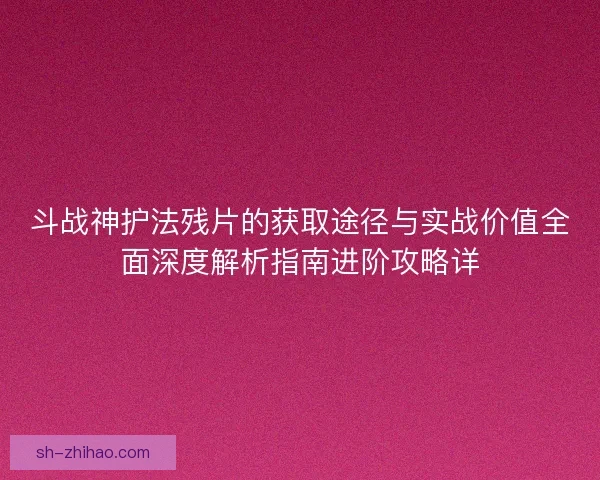 斗战神护法残片的获取途径与实战价值全面深度解析指南进阶攻略详